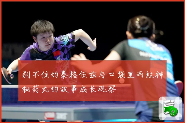 刹不住的泰格伍兹与口袋里两粒神秘药丸的故事成长观察