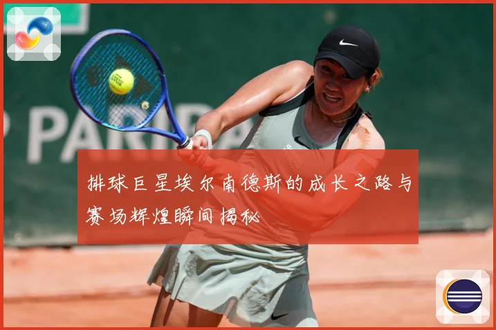 排球巨星埃尔南德斯的成长之路与赛场辉煌瞬间揭秘