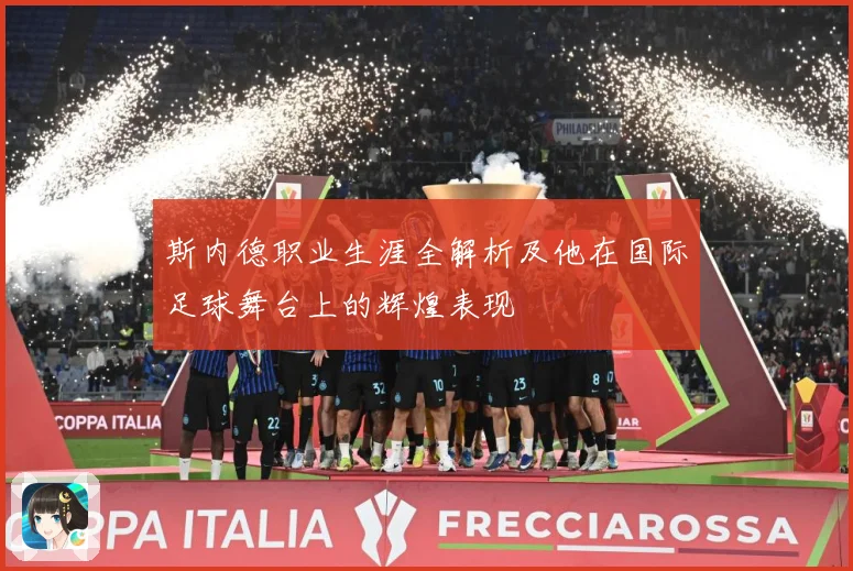 斯内德职业生涯全解析及他在国际足球舞台上的辉煌表现