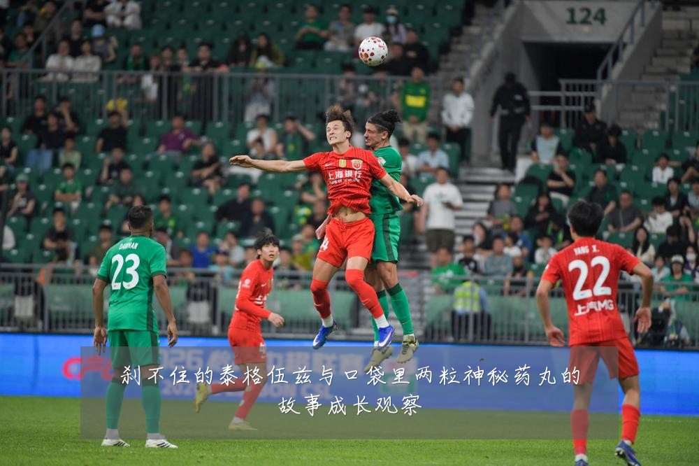 刹不住的泰格伍兹与口袋里两粒神秘药丸的故事成长观察